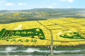 直击现场！2024最美油菜花海主会场洋县各个观花点、旅游环线情况播报！图片