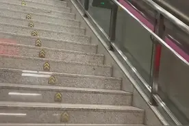 笑不活了 女孩下班太晚，妈妈带狗去地铁口接，我却笑死网友评论里图片