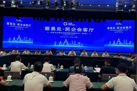 成都：发挥行业商协会桥梁纽带作用 助力民营企业发展图片