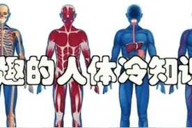 《揭秘人体奇妙冷知识：你所不知道的身体秘密！》图片