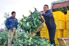 乡村振兴丨粮菜“混搭” 土里“掘金”图片
