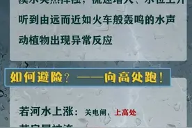 重要提醒！成都多个景区临时闭园图片