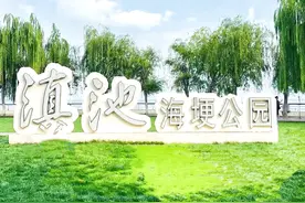 红嘴鸥回来啦！首推观鸥点是这图片