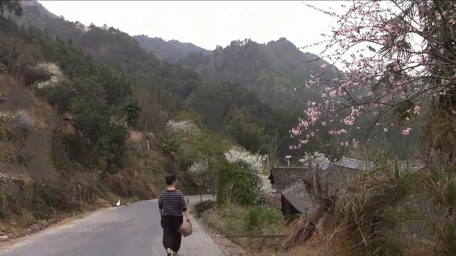 山居这些年,探访过无数苗族村寨,除了羡慕还是羡慕