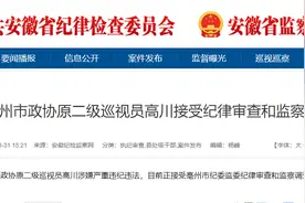 安徽反腐快讯！高川、郑平、刘国宏被查图片