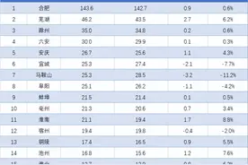 合肥增长乏力，马鞍山大跌出前五！安徽各地1月财政收入排行出炉图片