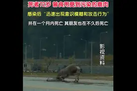美国老人感染“僵尸鹿”病毒死亡！意识模糊有攻击行为图片