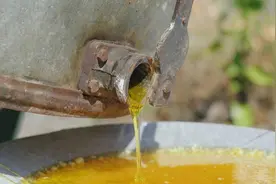 油一换，肝癌几率少一半？医生提醒：这3种油不要用了！赶紧换掉图片