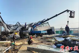 水果种植户：冰雪压不垮决心 大不了从头再来图片