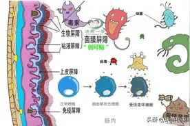 谨防溃疡性结肠炎恶变，长期吃药毒副作用大，怎么办？图片