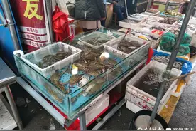 便宜了一半！济南蟹市场价格逐步回落图片