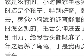 你做过最抽象的事情是什么？小时候舔狗鼻子，还要娶狗图片