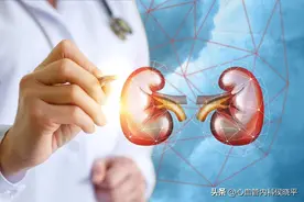 大部分“走肝”，小部分“走肾”，他汀药物不伤肾图片