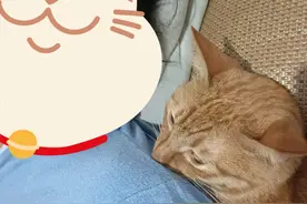 一篇你看了很舒服的文章图片