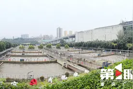让细菌“自食其力”！重庆污水处理有望实现新突破图片