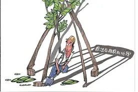 擅自毁林开荒20年 曲靖一村民被检察机关以非法占用农用地罪提起公诉图片