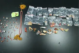 查获红珊瑚制品98件图片