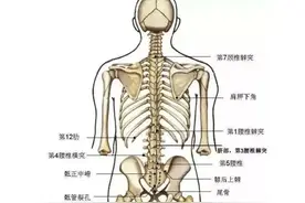 腰椎保健小妙招，日常坚持，远离腰痛不是梦！图片