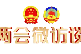 许玫：培养基础教育科技创新人才 引进高端人才 推动海南自贸港建设图片