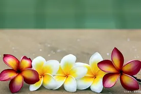 感恩相遇，珍惜友谊的十句经典古诗：谁不羡慕这样的友谊呢图片