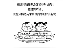 今天整合了一个欧洲史，给大家好好聊一聊欧洲的历史到底是咋回事图片