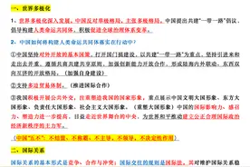 高中政治《当代国际政治与经济》主观题常用答题语言总结图片
