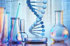 中国合成生产生物龙头企业一览 （2025）图片