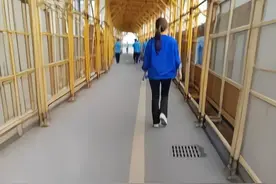 芯片厂生活;工作和感情的那些事图片