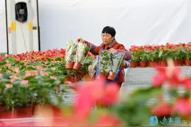 花卉种植为乡村振兴锦上添“花”图片