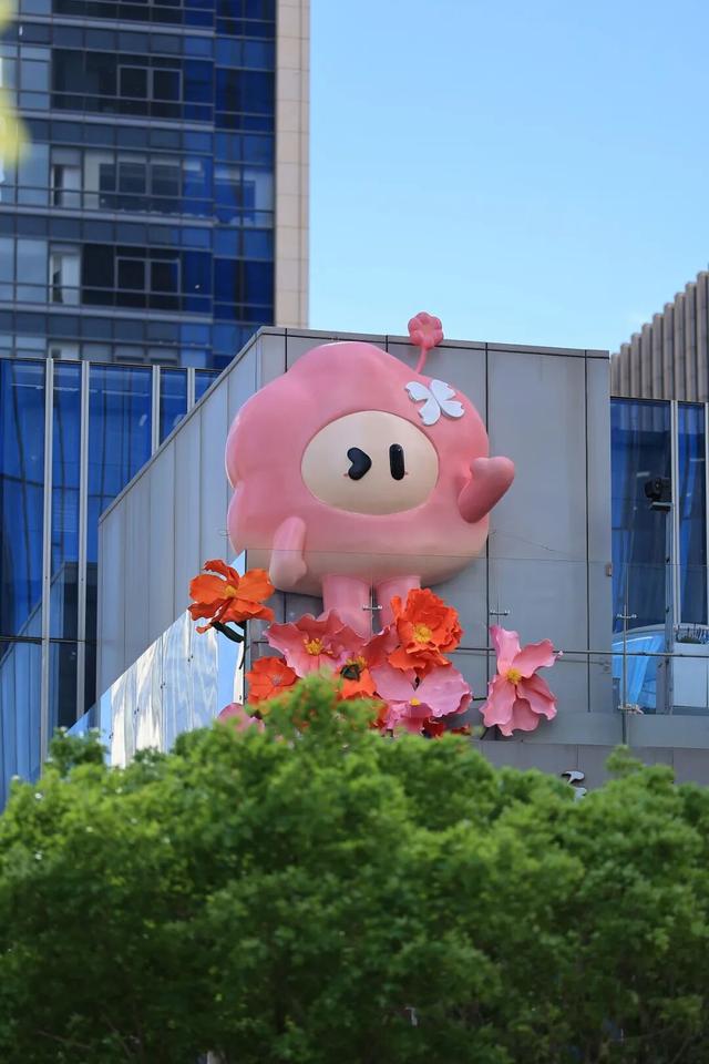 2026北京国际花展丨0元入场，10万平方米室外展区怎么玩