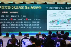 《中国式现代化县域实践调研报告》发布 拼多多农云行动入选全国县域振兴典型案例图片