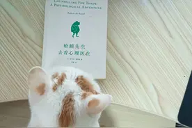 《蛤蟆先生去看心理医生》：成人的自我疗愈之路（二）迈出第一步图片