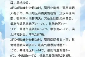 湖北下雪了！10级大风在路上图片