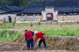 “一怕树压房，二怕屋后塘，三怕门前田”，分别指啥？为啥要怕？图片