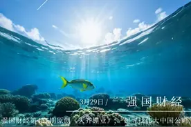 天齐锂业：突发爆雷，30万散户亏麻了图片