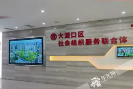 重庆已累计培育并登记近1.8万家社会组织 数量在全国直辖市中高居榜首图片