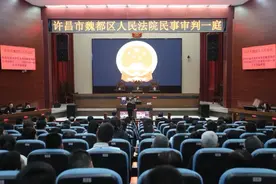 原告许昌市胖东来商贸集团有限公司与被告段某名誉权纠纷案一审当庭宣判图片