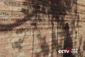 写满庭院的，父亲的散文诗图片