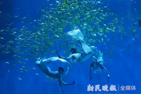巅峰竞技！世界各地“美人鱼”齐聚上海海昌图片