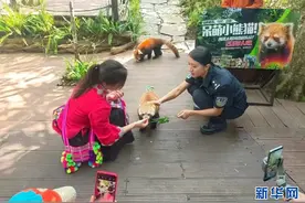 法润彩云南丨网络普法绽放"石榴红"——云南探索边疆民族地区普法新路径图片