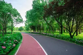 徐然 | 《路》图片