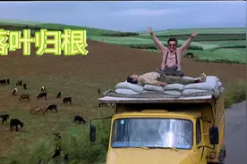 落叶归根图片