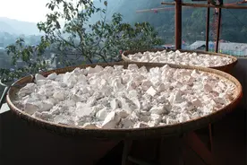 农村人冬季闲时，挖野生葛根回来加工成粉，200元一斤还难买到图片