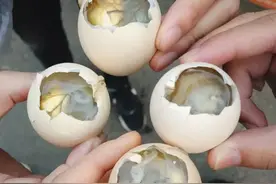 福建六大特色菜，听着怪，吃着香，很多人不敢试吃图片