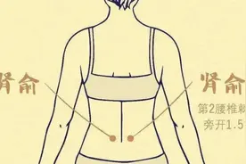 背上有个穴位，男可补肾虚，女可暖子宫图片