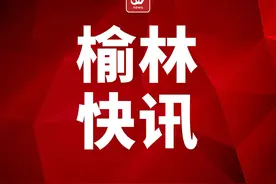 477名! 榆林市发布2024年公开招聘（募）事业单位工作人员公告图片