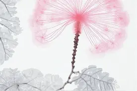 37句绝美神仙诗句，宛如落入凡尘的仙子，惊艳了时光，温柔了岁月图片