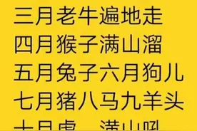 十二苦命月：一月蛇，洞中休，二月老鼠饿过头，你细品。图片