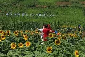 蓝田“醉美环山路”旅拍打卡游线路发布图片