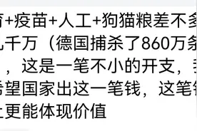 流浪狗被抓，两女子情绪激动，哇哇大叫：它被网着不难受吗。图片